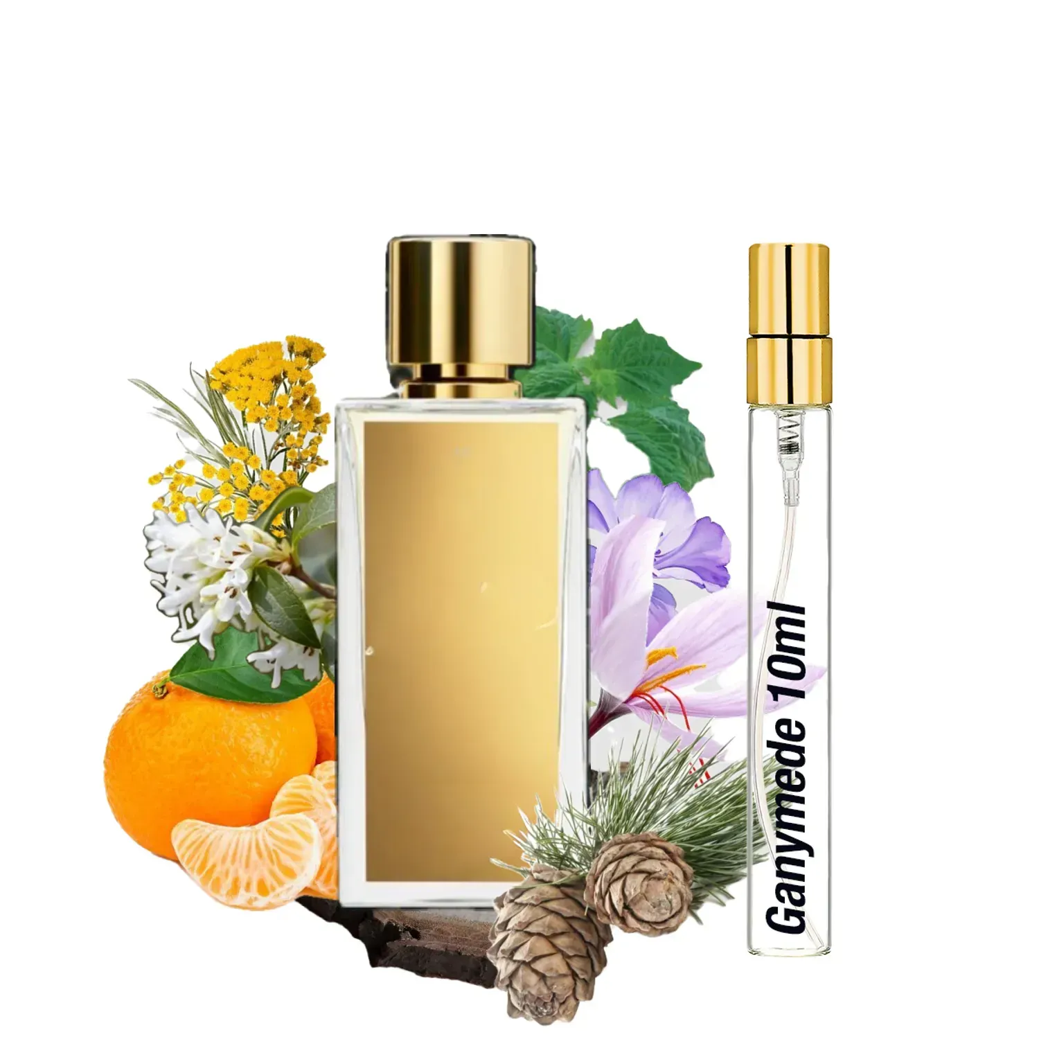 Travel Парфюм S&V Ganymede Eau de parfum 10мл