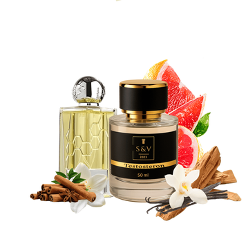 Парфум S&V Testosterone Eau de Parfum 50 мл 792C фото